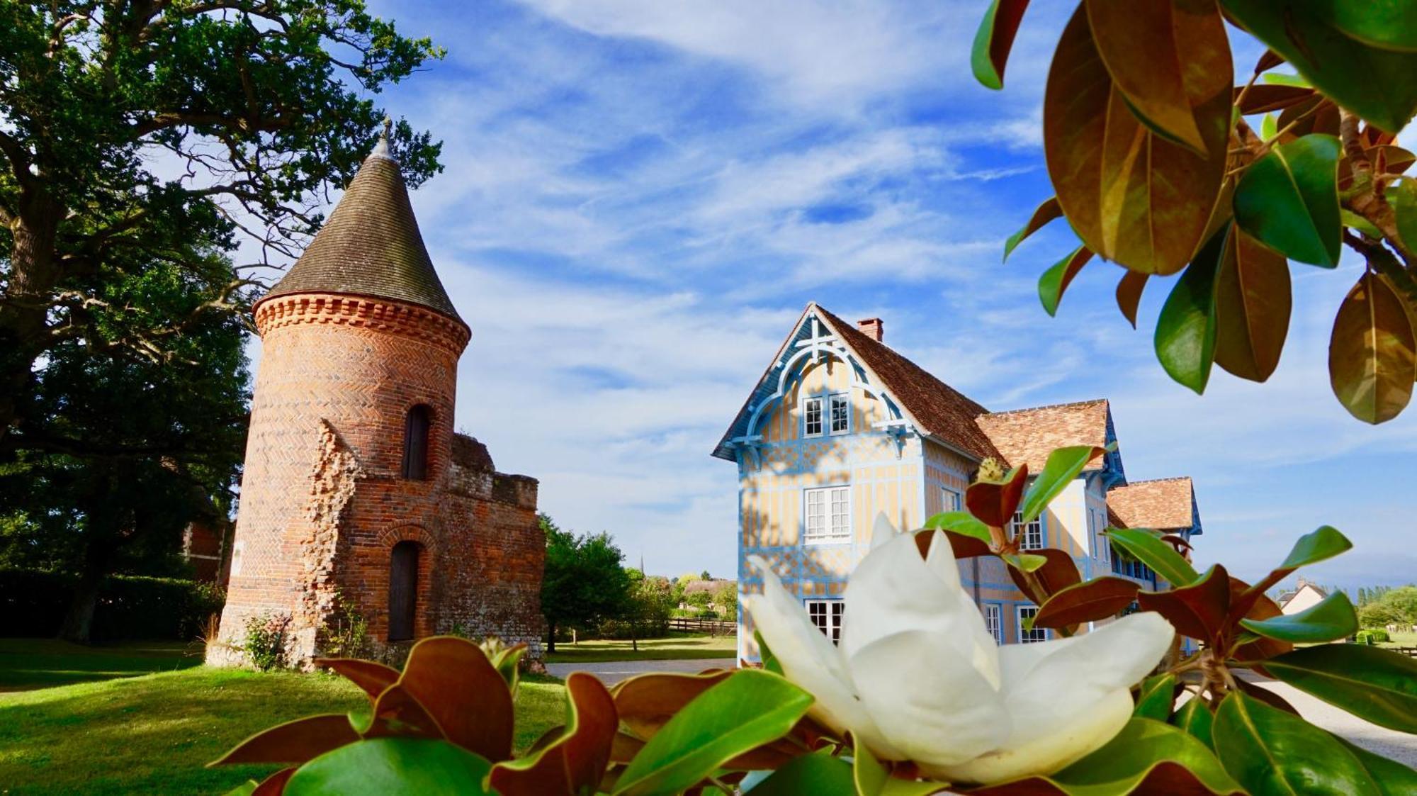 Chateau De Tilly Boissey-le-Chatel エクステリア 写真