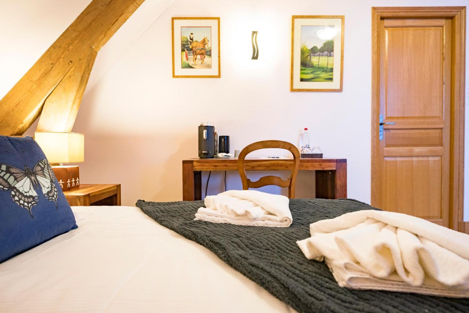 Chateau De Tilly Boissey-le-Chatel エクステリア 写真