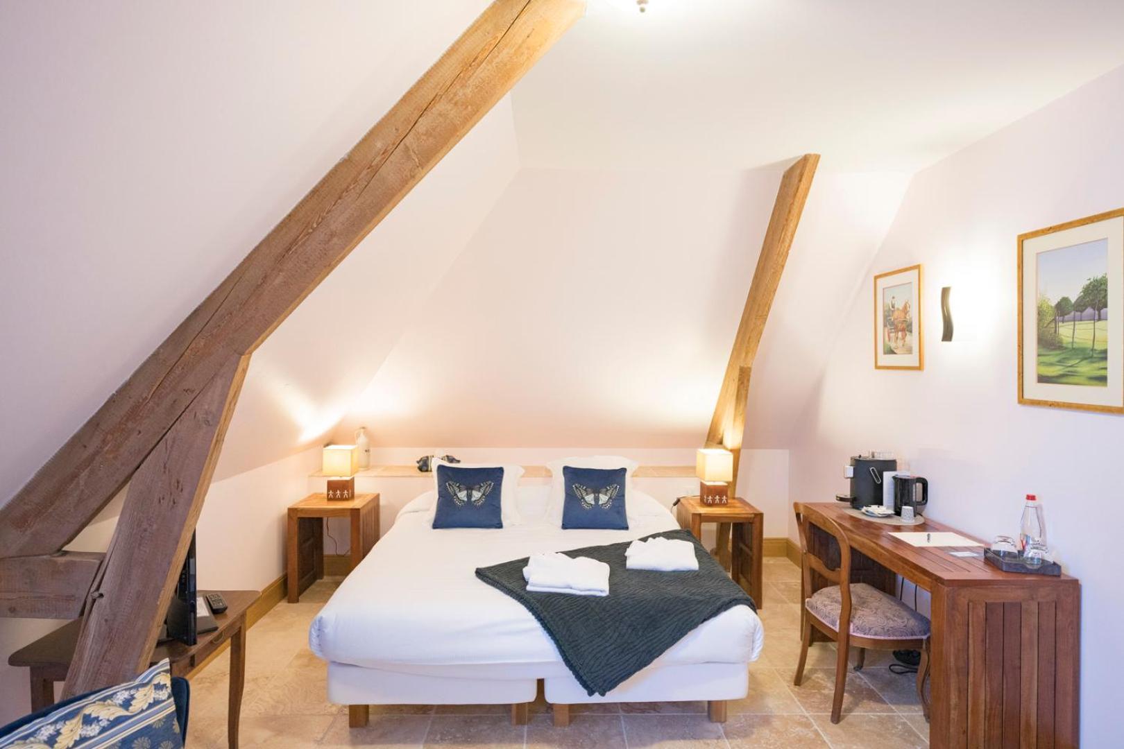 Chateau De Tilly Boissey-le-Chatel エクステリア 写真